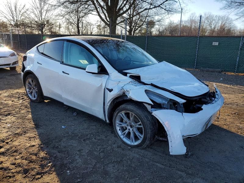 2023 TESLA MODEL Y 4