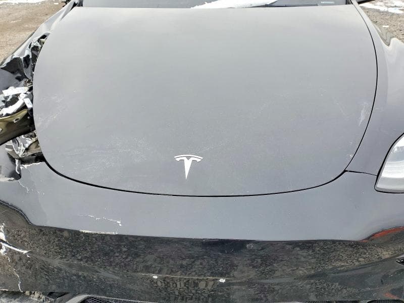 2023 TESLA MODEL Y 11