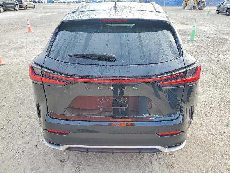 2024 LEXUS NX 350 6