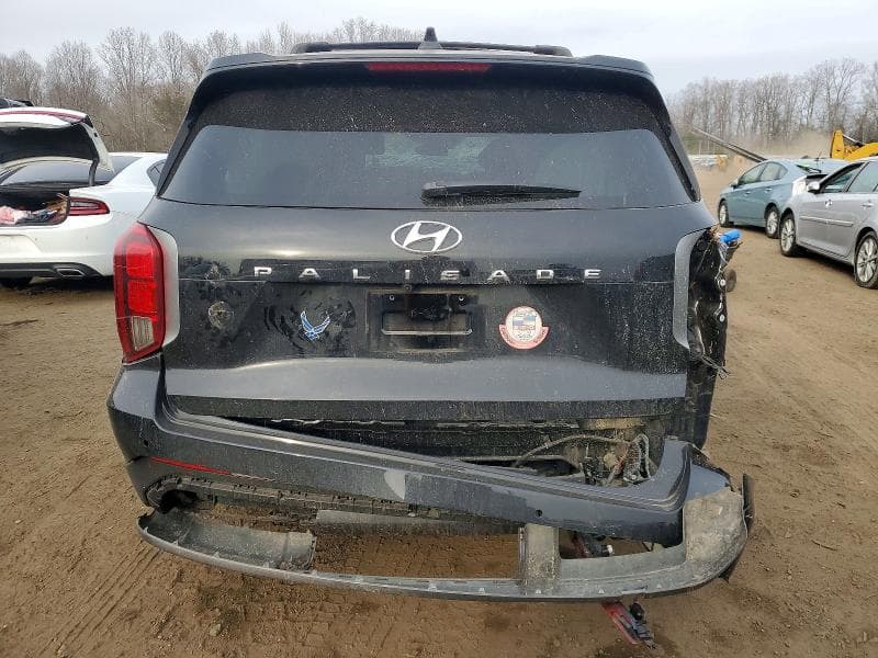 2023 HYUNDAI PALISADE SEL 6