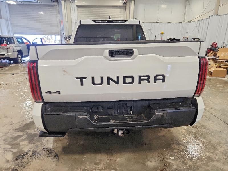 2024 TOYOTA TUNDRA LIMITED 6