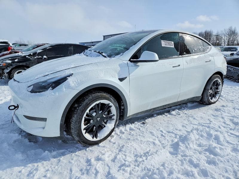 2024 TESLA MODEL Y