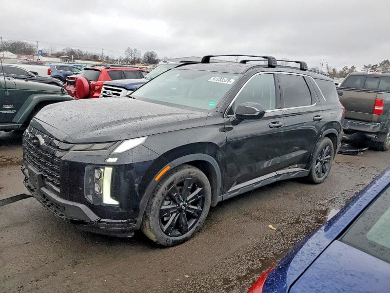 2024 HYUNDAI PALISADE XRT - 1