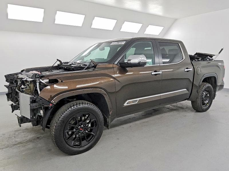 2025 TOYOTA TUNDRA 1794 EDITION - 1