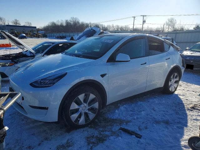 2021 TESLA MODEL Y - 1