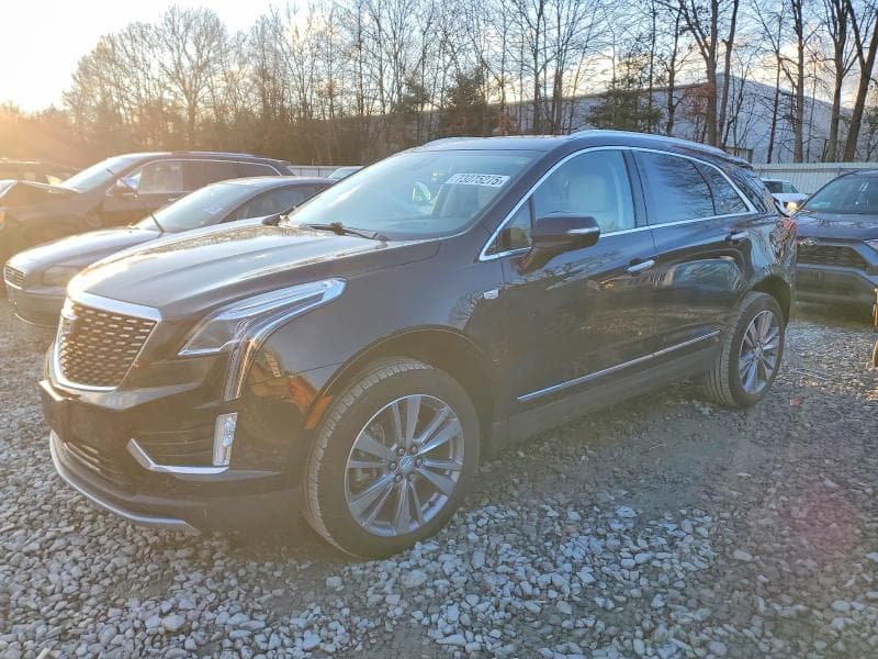 2024 CADILLAC XT5