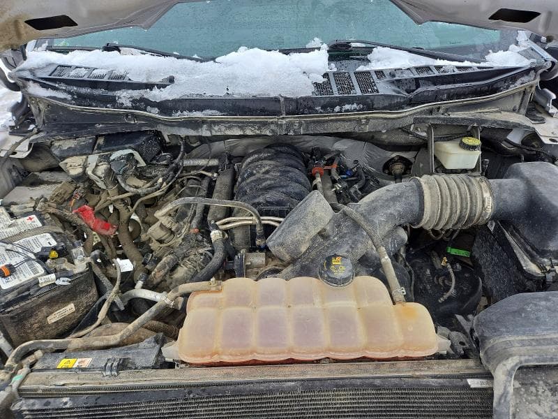 2021 FORD F150 SUPERCREW 11
