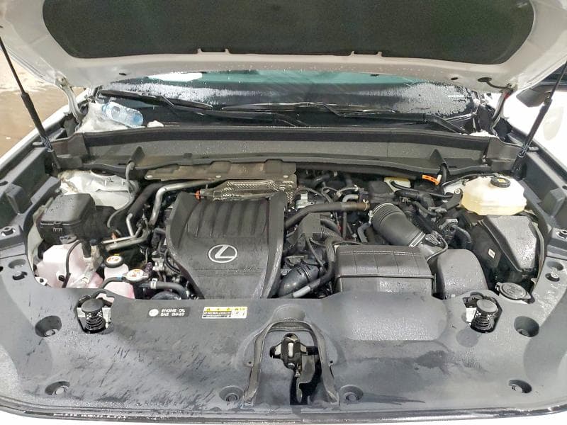 2024 LEXUS TX 500H F SPORT PREMIUM 12