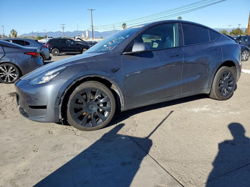 2021 TESLA MODEL Y - 1
