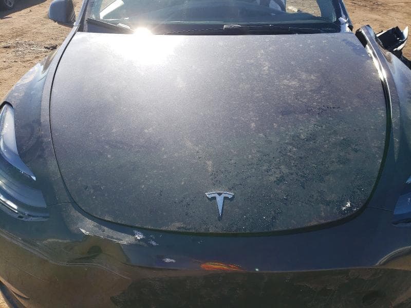 2024 TESLA MODEL Y 11