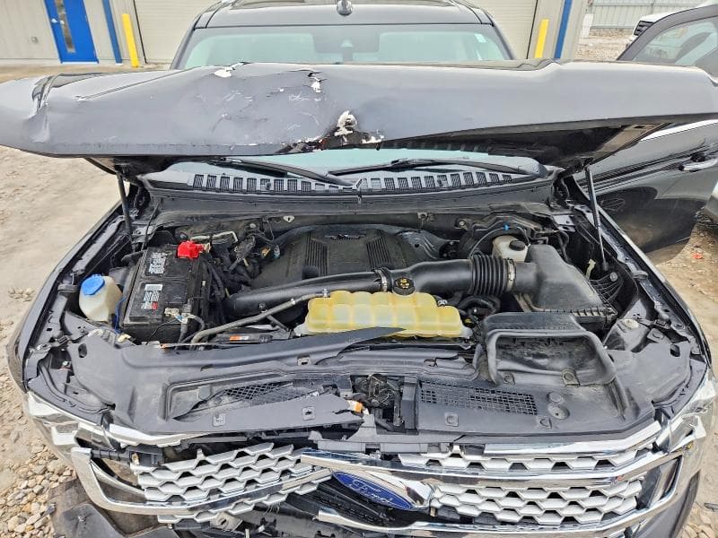 2019 FORD EXPEDITION PLATINUM 12