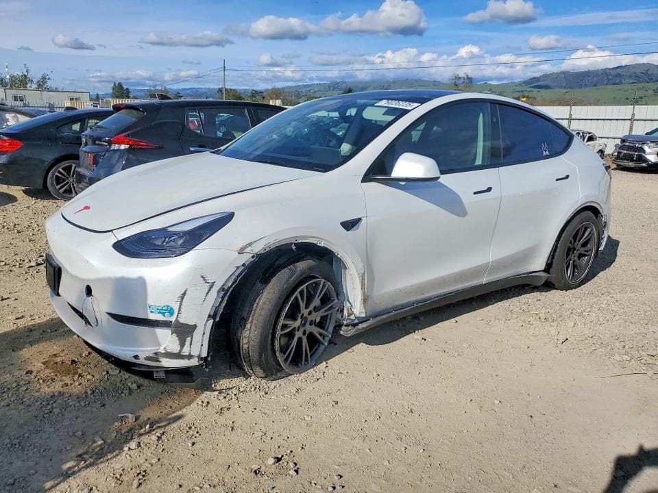 2025 TESLA MODEL Y - 1