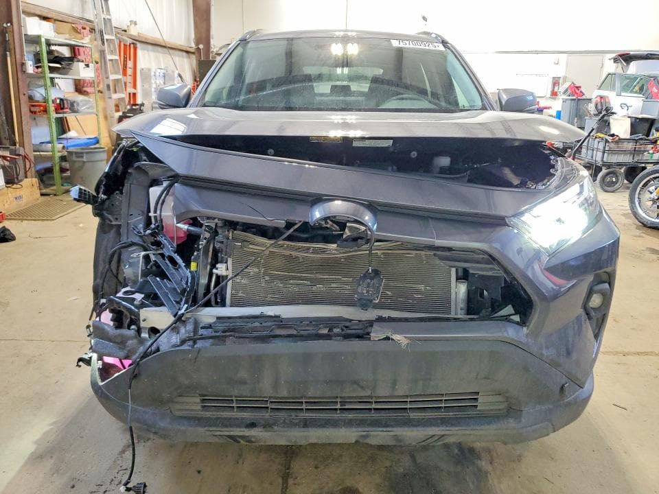 2025 TOYOTA RAV4 XLE 5
