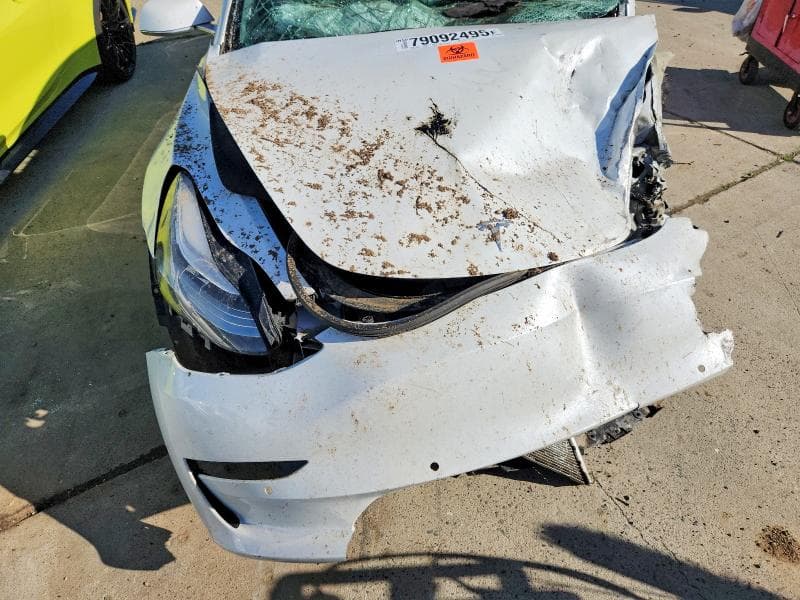 2019 TESLA MODEL 3 11