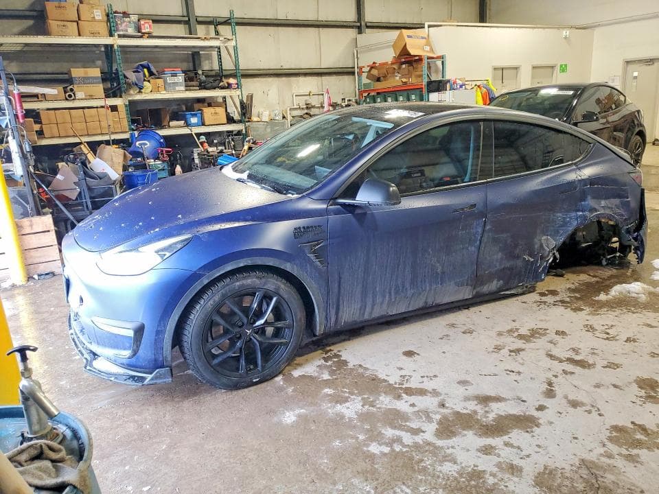 2023 TESLA MODEL Y - 1