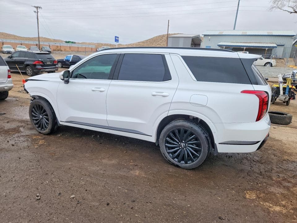 2025 HYUNDAI PALISADE CALLIGRAPHY NIGHT EDITION 2
