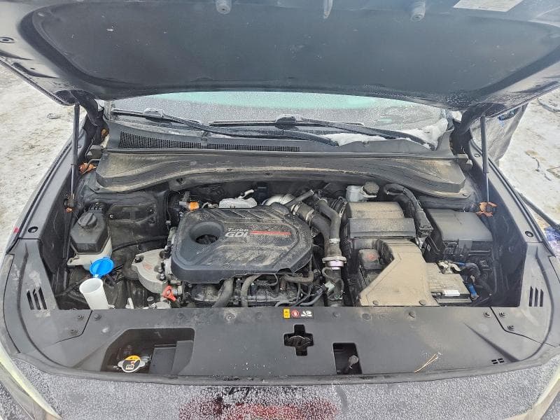 2019 HYUNDAI SANTA FE LIMITED 12