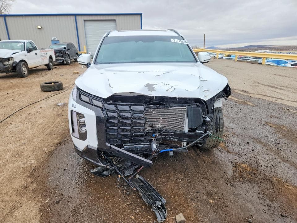 2025 HYUNDAI PALISADE CALLIGRAPHY NIGHT EDITION 5