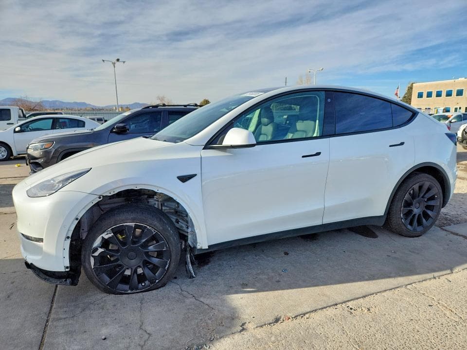 2021 TESLA MODEL Y