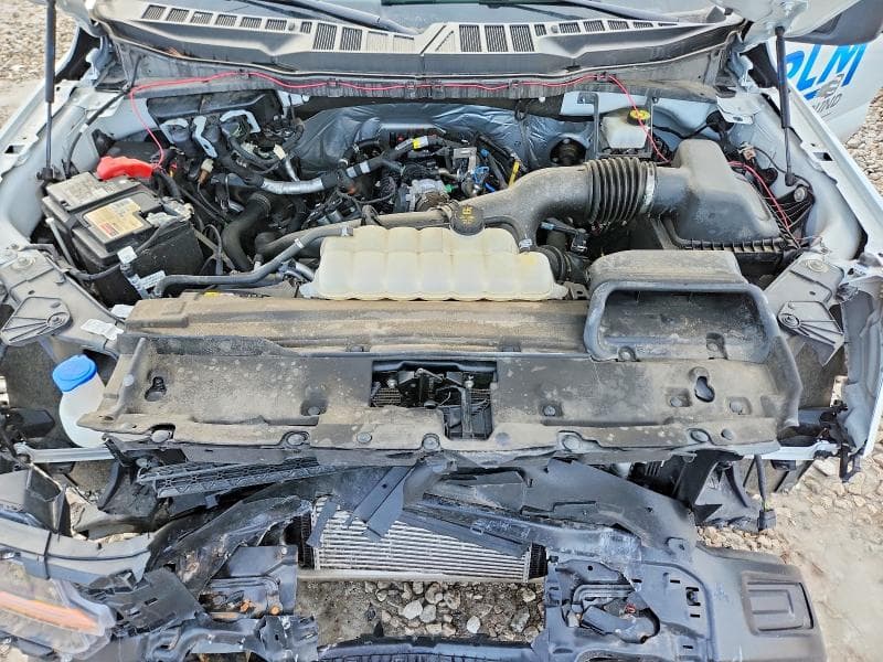 2024 FORD F150 XL 11
