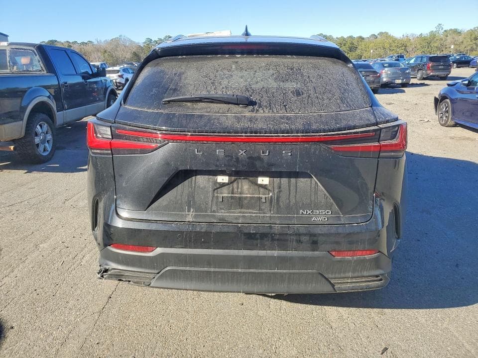 2024 LEXUS NX 350 PREMIUM 6