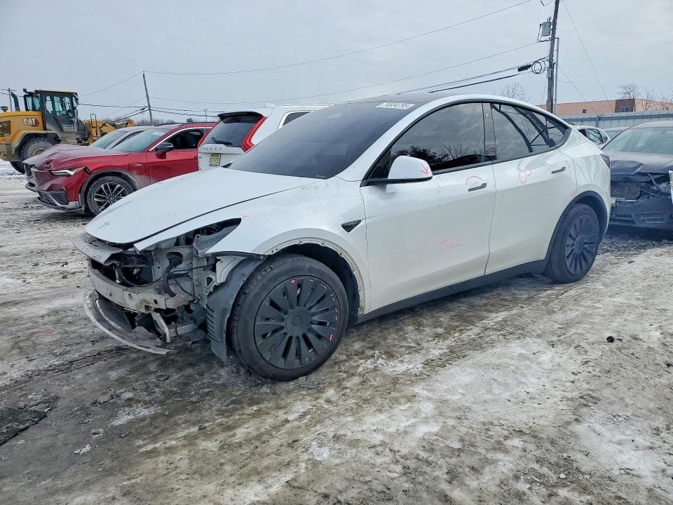 2021 TESLA MODEL Y - 1