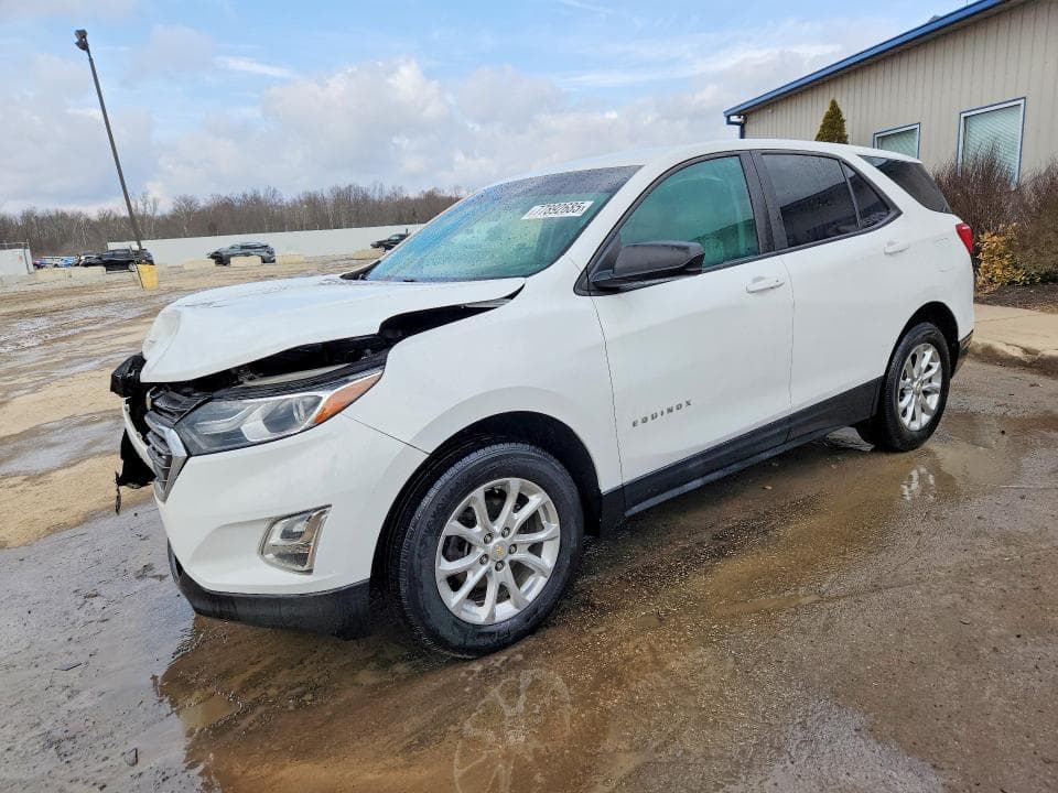 2020 CHEVROLET EQUINOX LS - 1