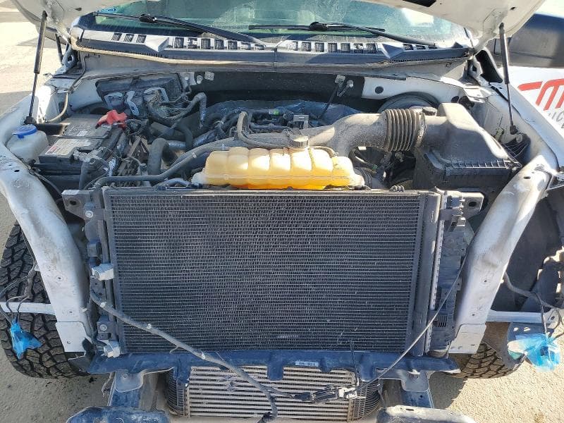 2019 FORD F150 11
