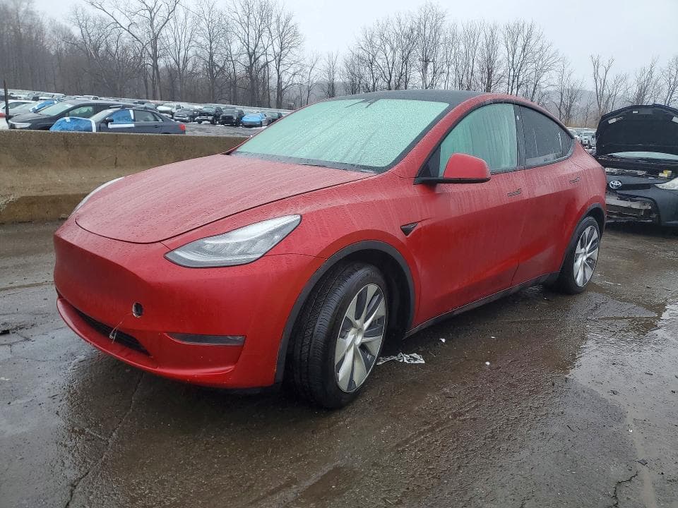 2021 TESLA MODEL Y - 1