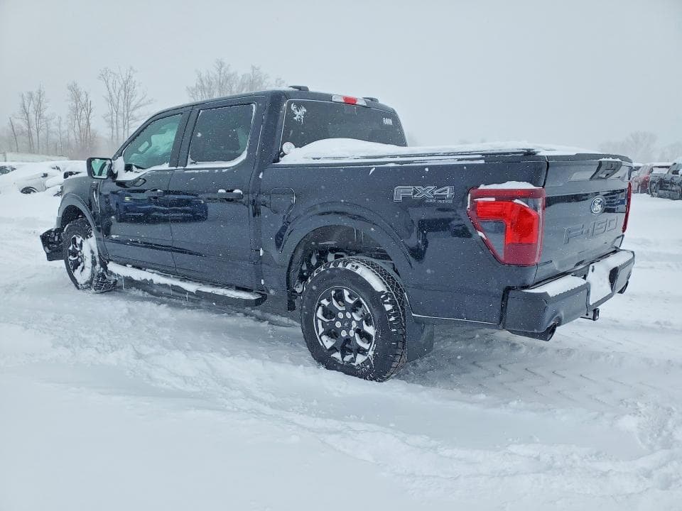 2025 FORD F150 STX 2