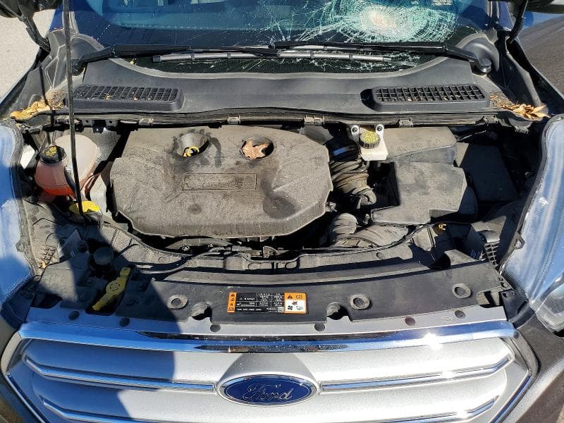 2019 FORD ESCAPE TITANIUM 12