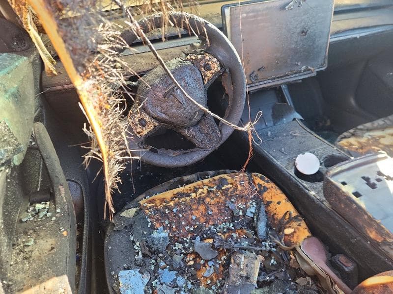 2019 TESLA MODEL 3 8