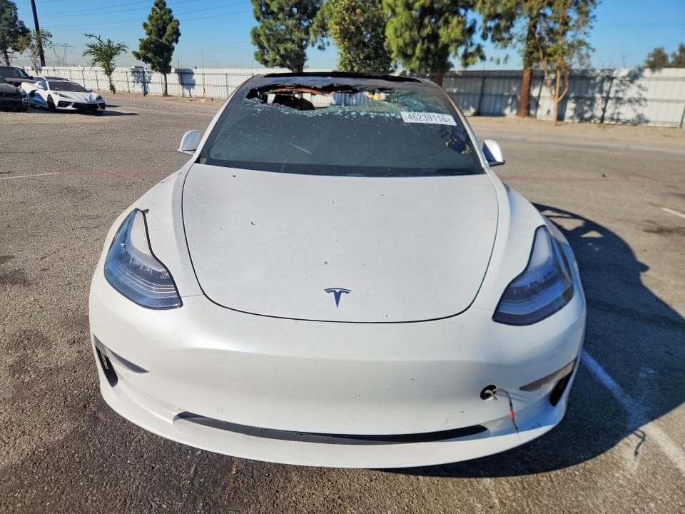 2019 TESLA MODEL 3 5