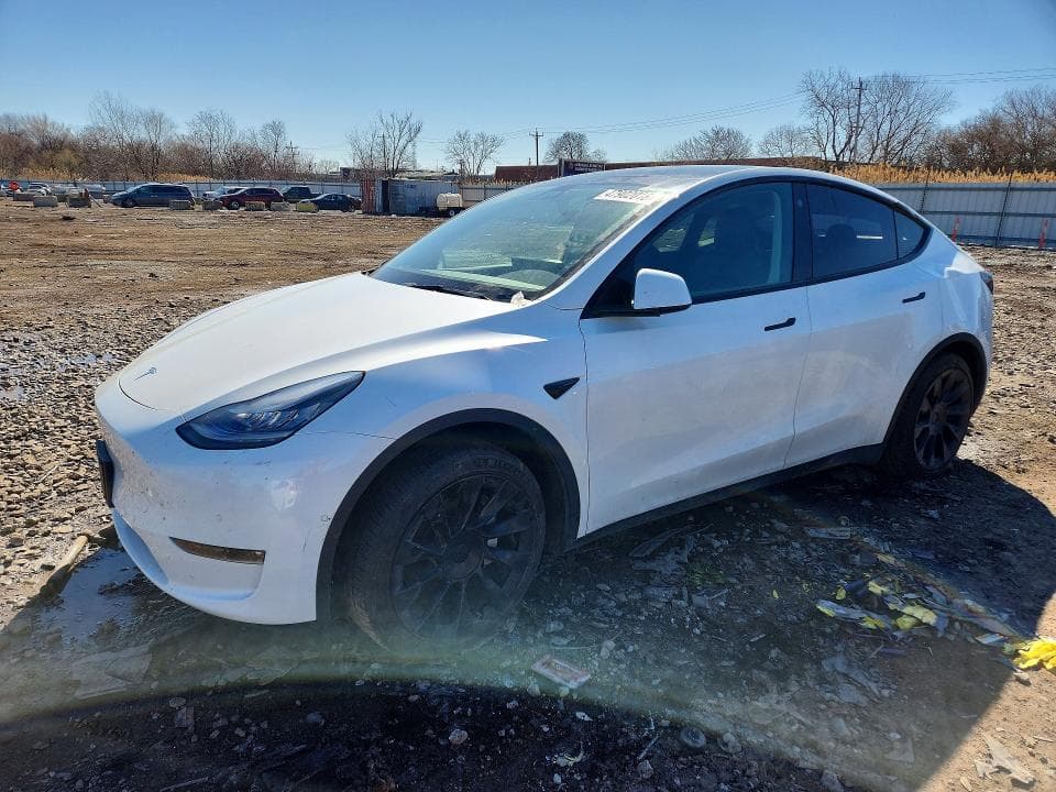 2021 TESLA MODEL Y - 1