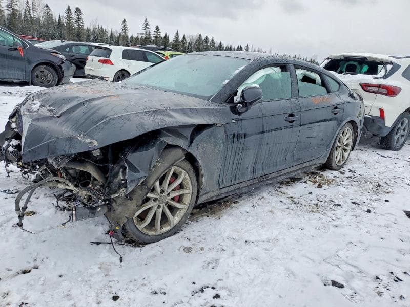 2019 AUDI S5 PRESTIGE - 1