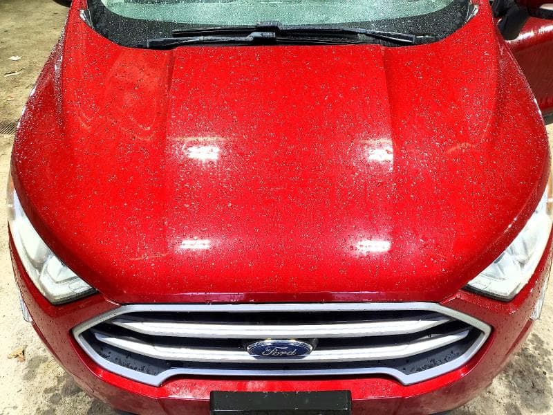 2019 FORD ECOSPORT SE 12