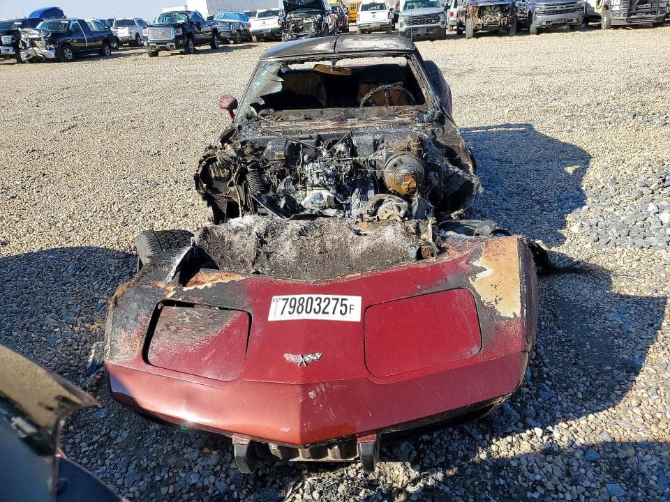 1976 CHEVROLET CORVETTE 5