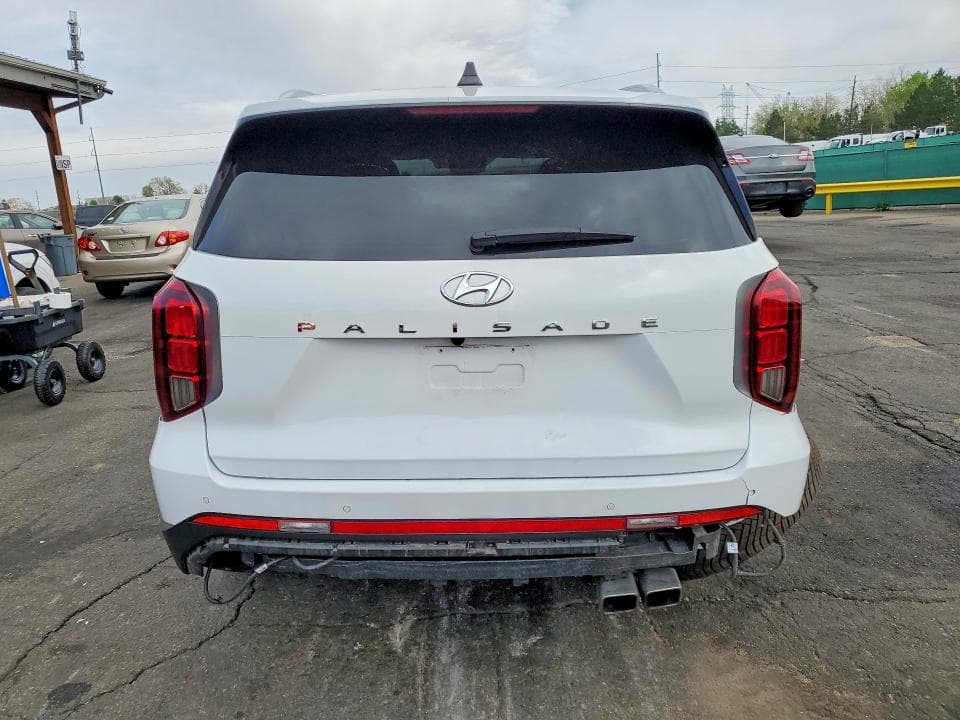 2024 HYUNDAI PALISADE LIMITED 6