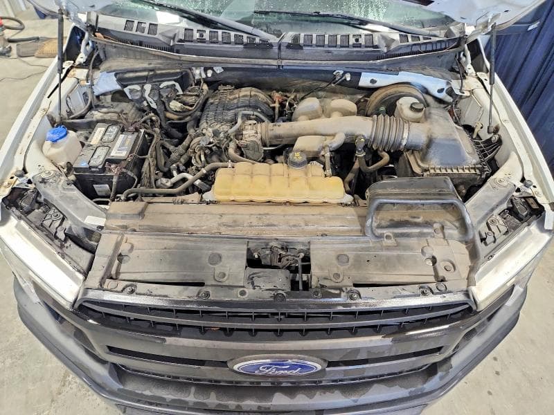 2019 FORD F-150 11