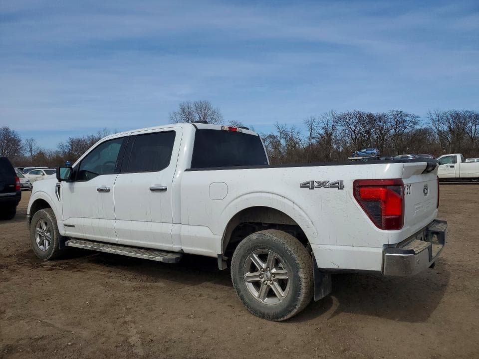 2024 FORD F150 XLT 2