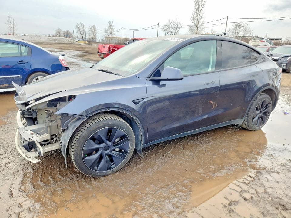 2025 TESLA MODEL Y - 1