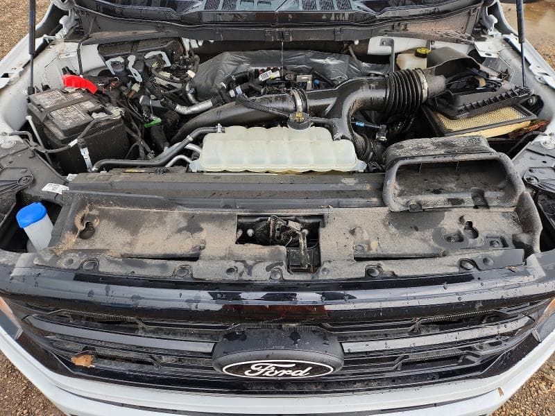 2024 FORD F150 STX 11