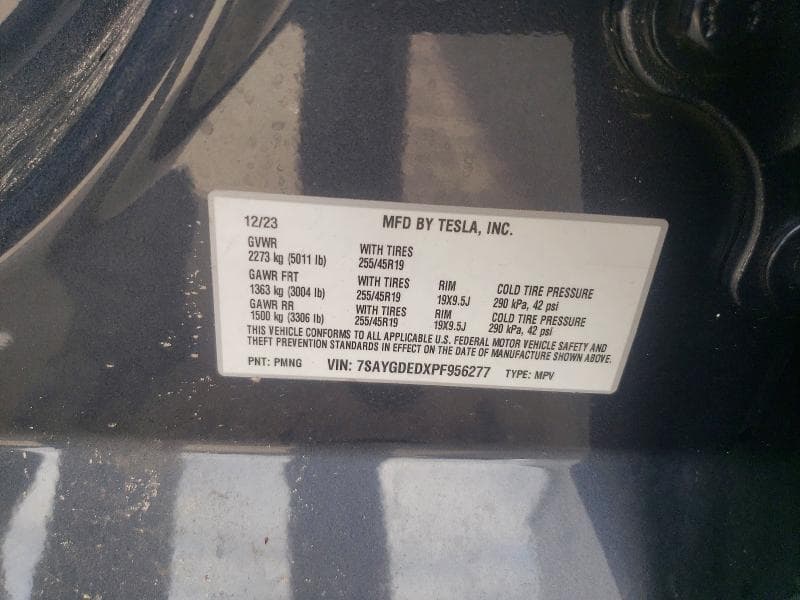2023 TESLA MODEL Y 13