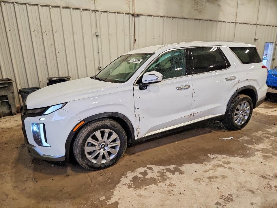 2025 HYUNDAI PALISADE SEL - 1