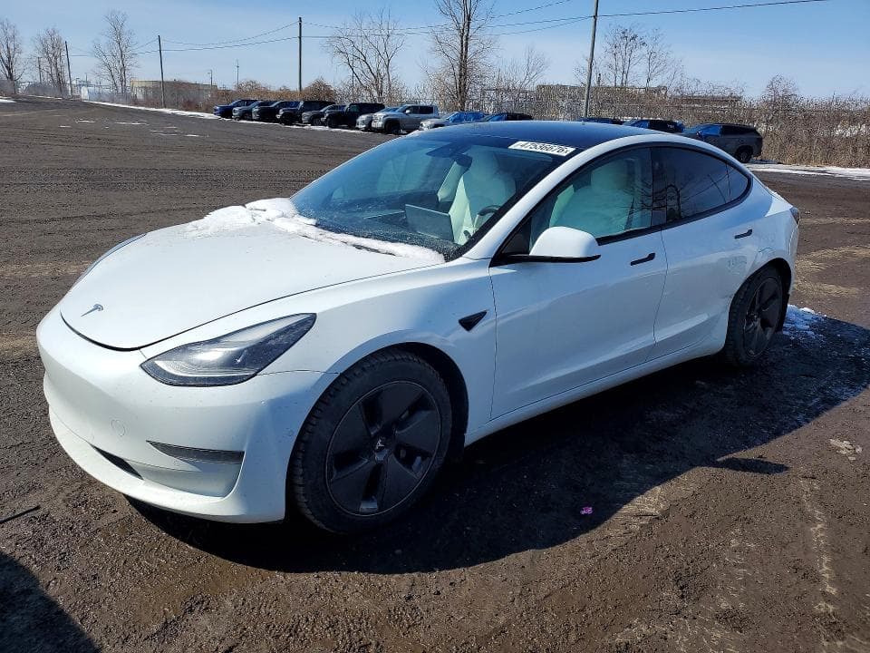 2021 TESLA MODEL 3 - 1