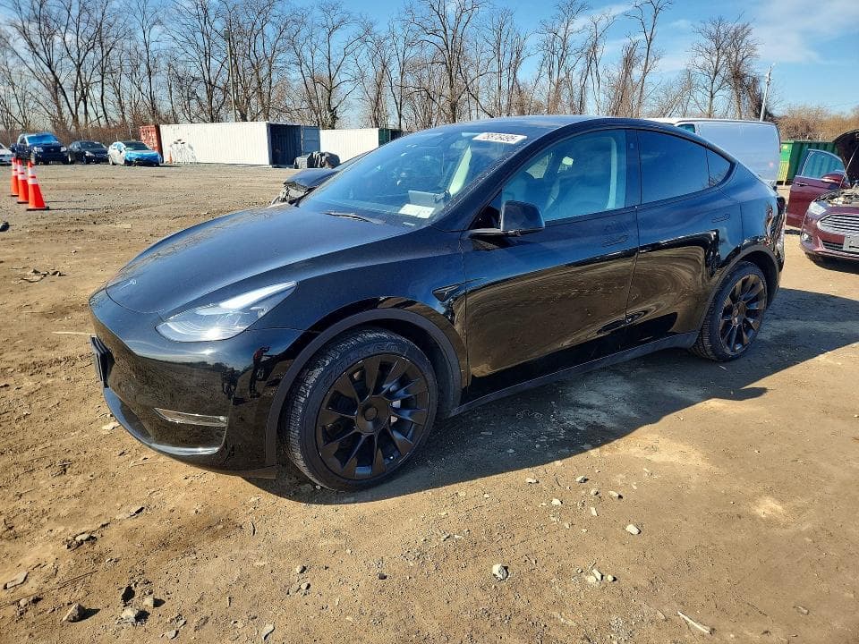2023 TESLA MODEL Y - 1