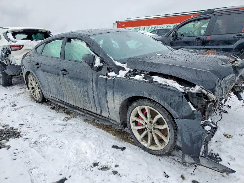 2019 AUDI S5 PRESTIGE 4