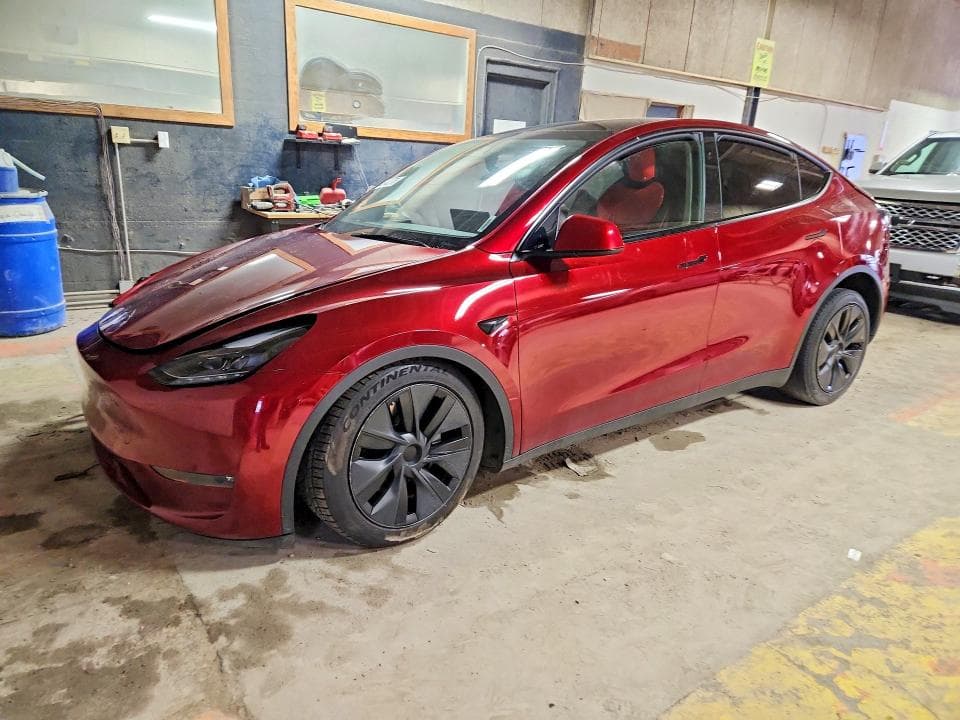 2025 TESLA MODEL Y - 1