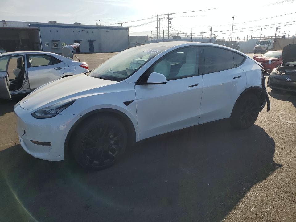 2020 TESLA MODEL Y - 1