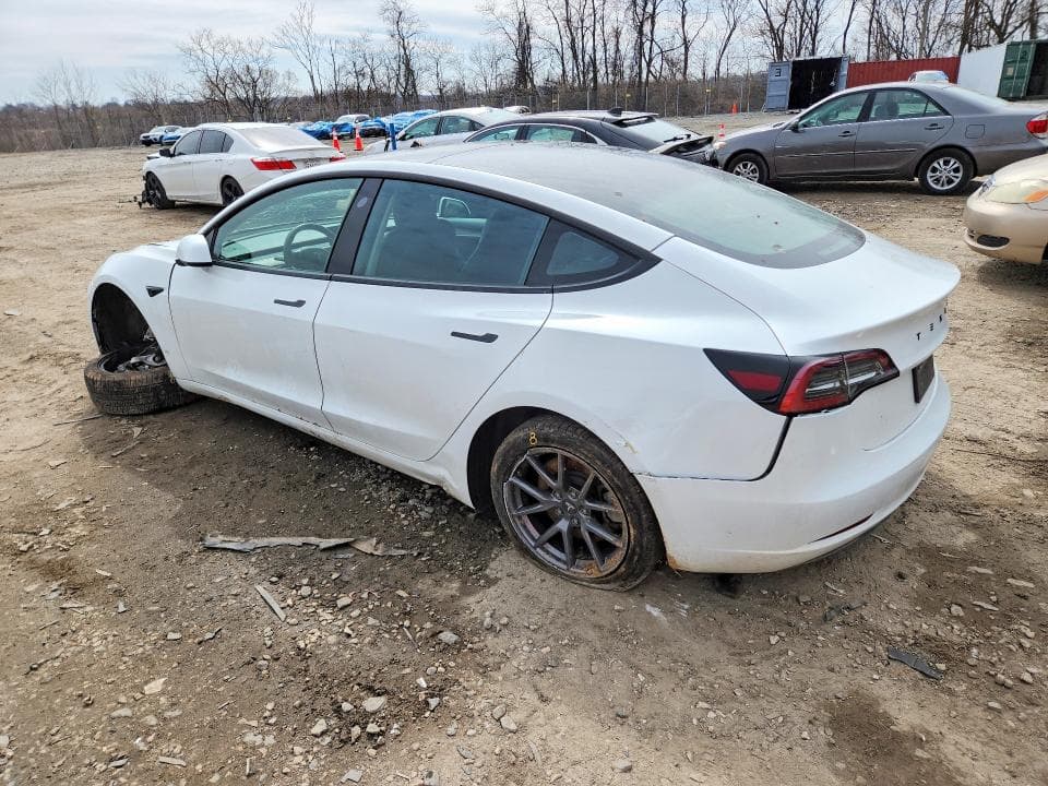 2023 TESLA MODEL 3 2